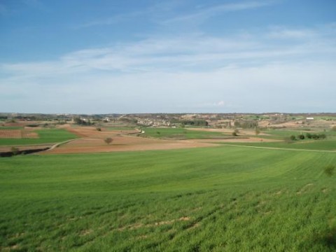 Campos del Sendero de las Ermitas